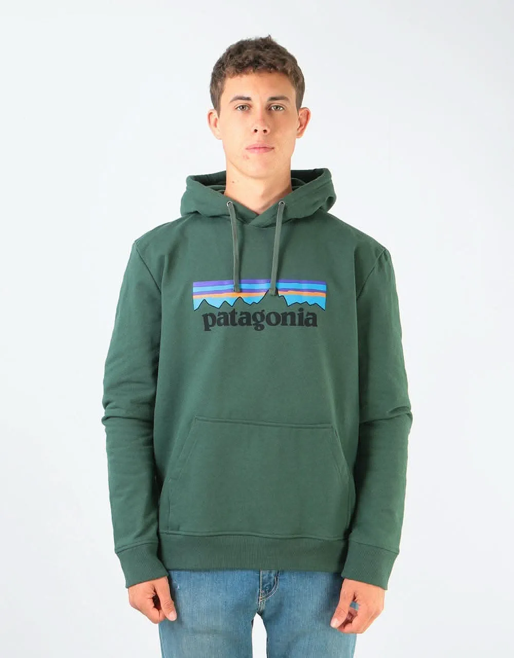 Patagonia P-6 Logo Uprisal Hoody - Alder Green